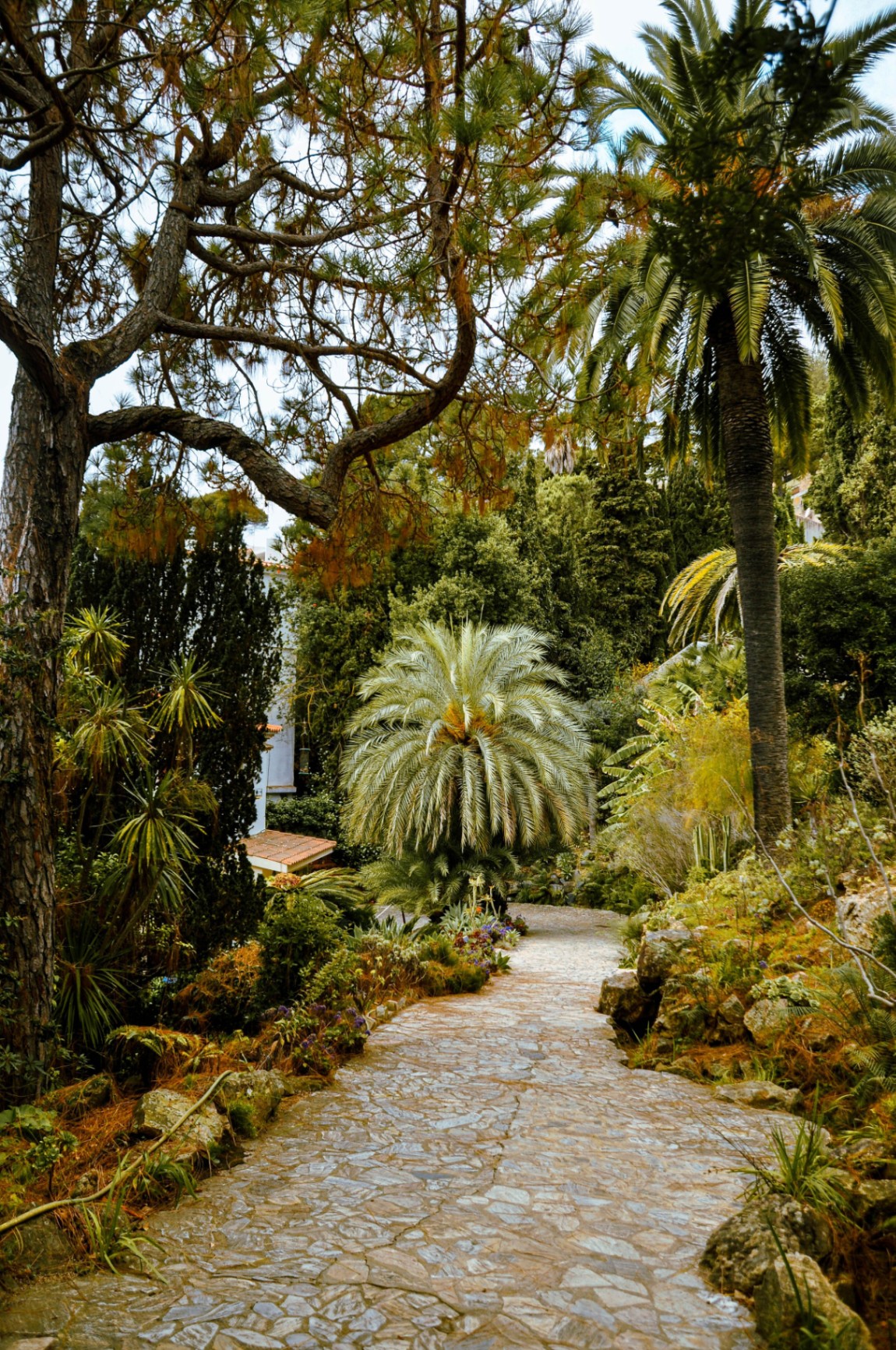 Lokrum Island & Trsteno Arboretum, Croatia 2